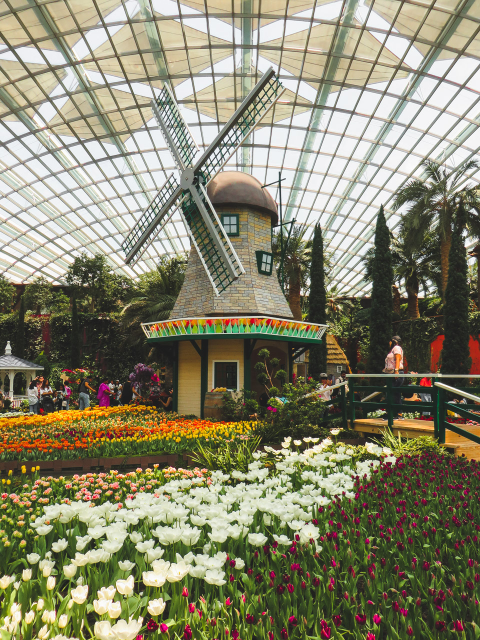 Flower Dome - Singapore