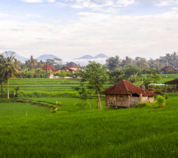 Ubud - Bali