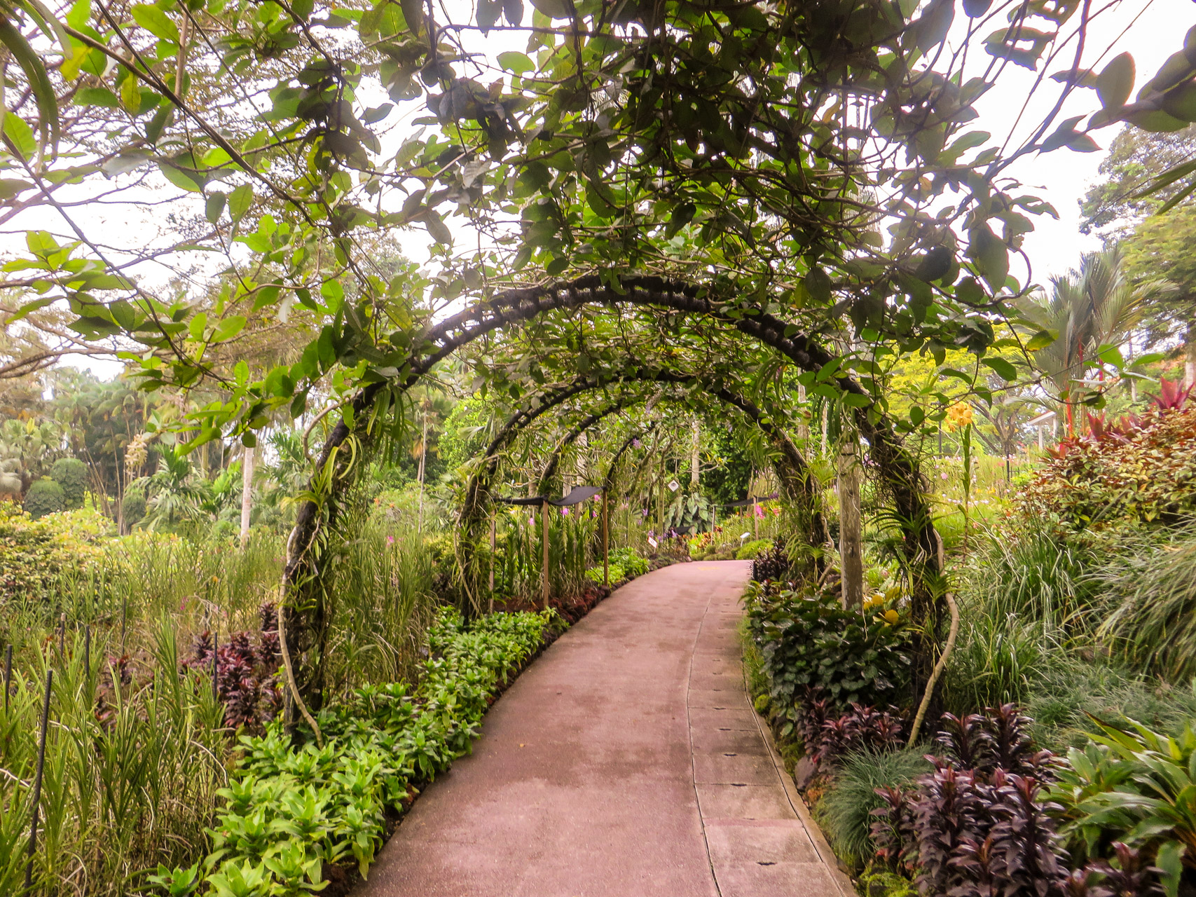 Botanic Gardens - Singapore