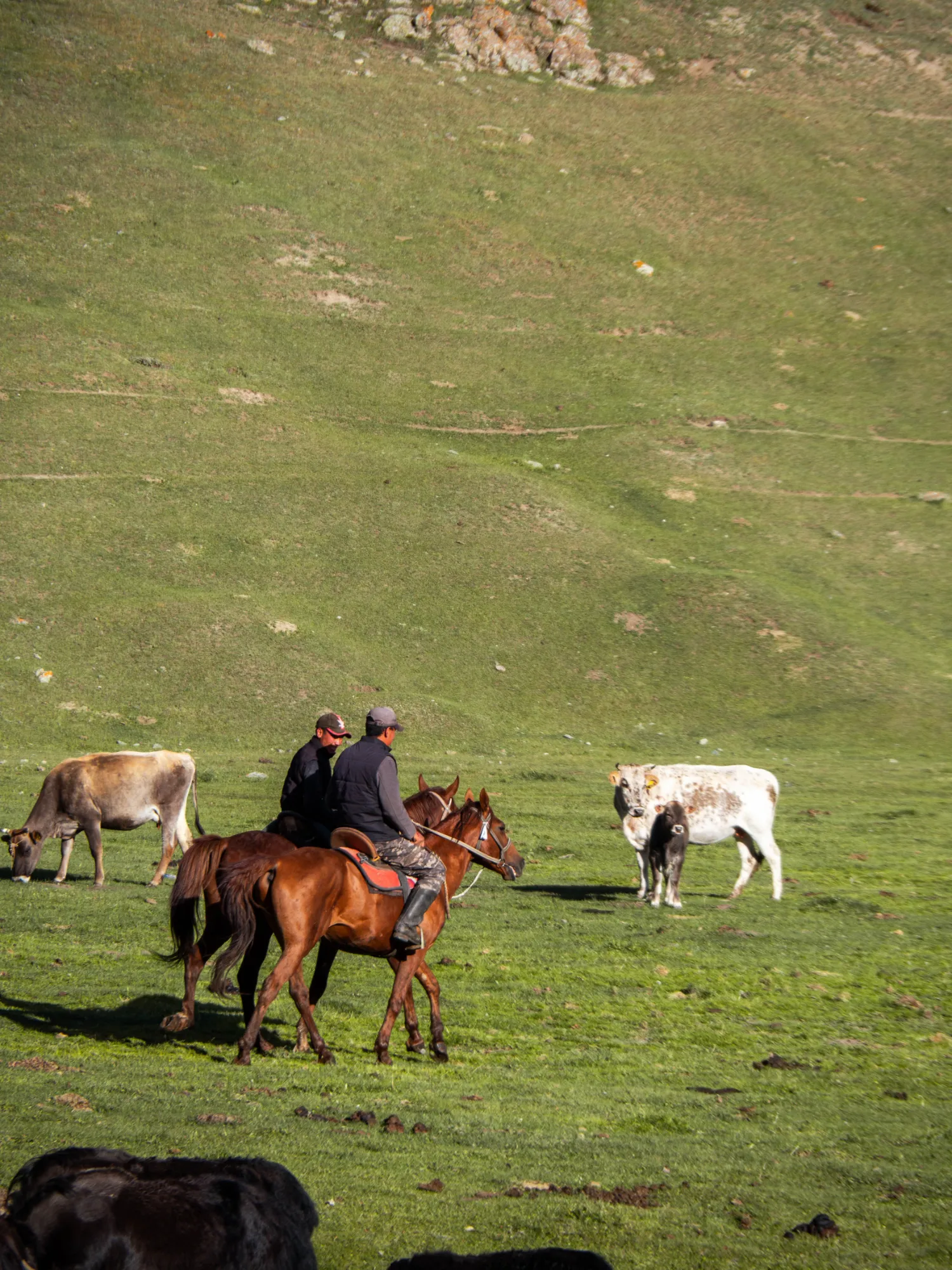 Nomads of Song-Kul